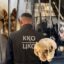 Служба на четырех лапах: как полицейские без погон защищают жителей СКО
