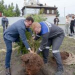 СҚО-да энергетиктер ағаш отырғызды