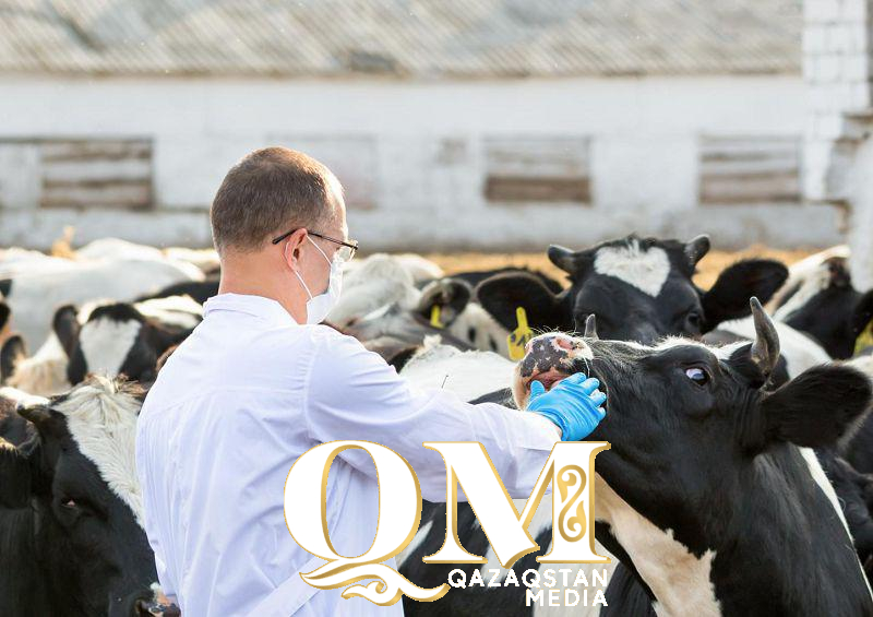 Мал дәрігерлерінің айлығы өседі