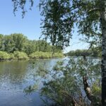 За купание в опасных местах жителей СКО будут штрафовать