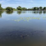 Пожилой мужчина утонул во время купания в СКО