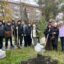 Более 10 тысяч волонтеров помогают жителям Северо-Казахстанской области