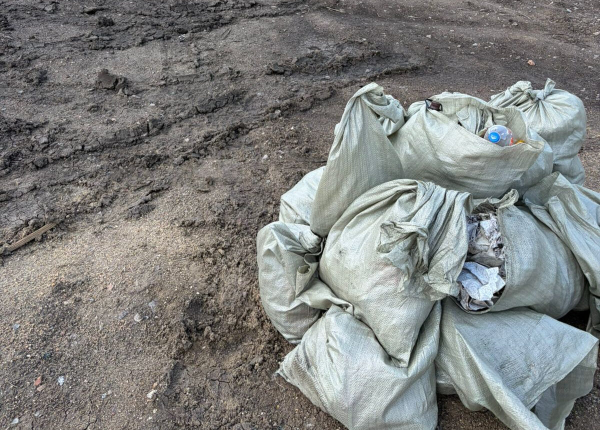 Экология начинается с действий: в Петропавловске прошла акция «Мөлдір бұлақ»
