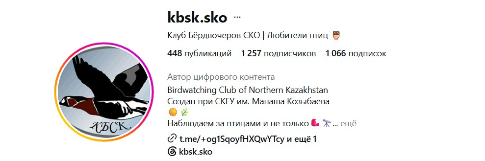 Небанальные способы провести выходные в Петропавловске