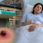 СҚО-да кене шаққан әйелден сирек инфекция анықталды