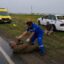 После ДТП пьяный пассажир избил фельдшера скорой помощи в СКО