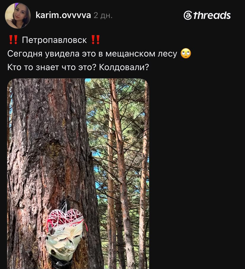 Колдовали? Странная находка в Мещанском лесу напугала жительницу Петропавловска