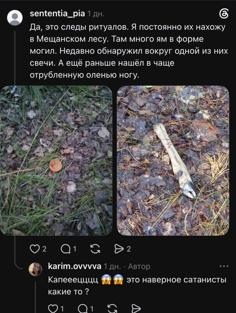 Колдовали? Странная находка в Мещанском лесу напугала жительницу Петропавловска
