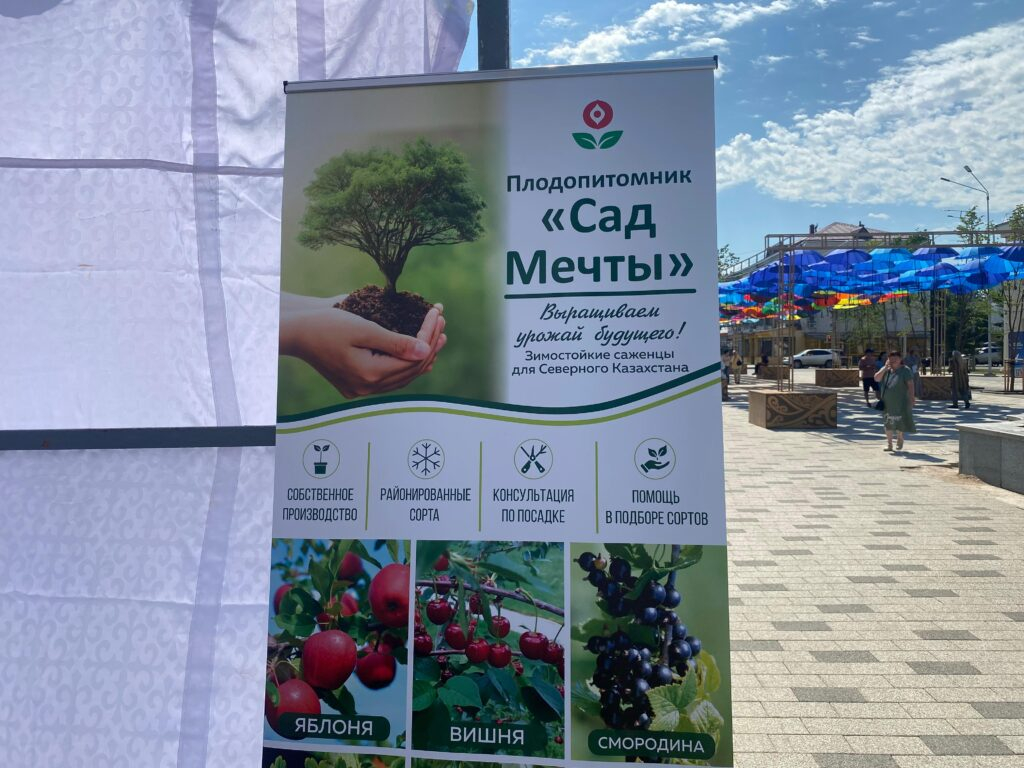 «Сад мечты» создал инженер-механик на севере Казахстана
