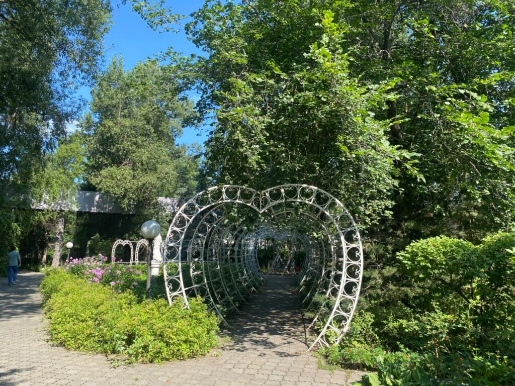Статус особо охраняемого получил Ботанический сад Петропавловска