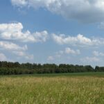 «40 дней июля» унесут жару с севера Казахстана