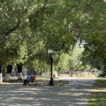 Выборы в Курултай – как регионы формируют политическую повестку
