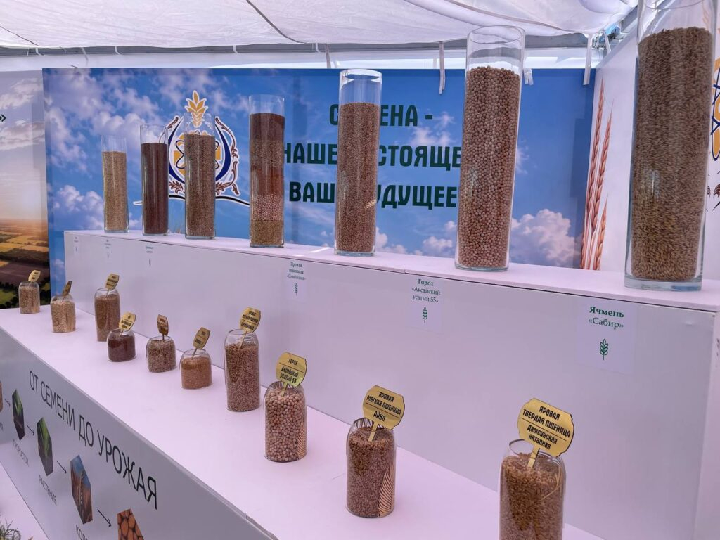 Агробизнесмены в канун уборки встретились на Дне поля в СКО