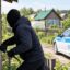 Жыл басынан Петропавл саяжайларынла 15 ұрлық тіркелген