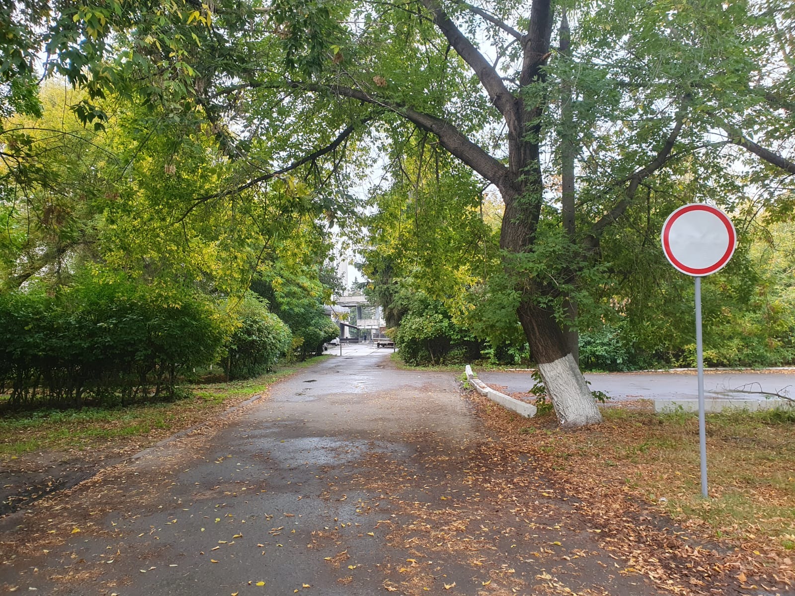 Петропавлда жол белгілері кәсіпкерлердің жұмысына кедергі келтірді