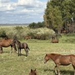 Сельчане СКО могут получить льготные займы под 2,5 % годовых