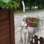 «Герои» утреннего погрома — вандалы уничтожили милую скульптуру у кафе «Хо-Хо» в Петропавловске