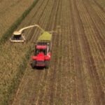 Уборка-2026: работа кипит на полях Кызылжарского района СКО