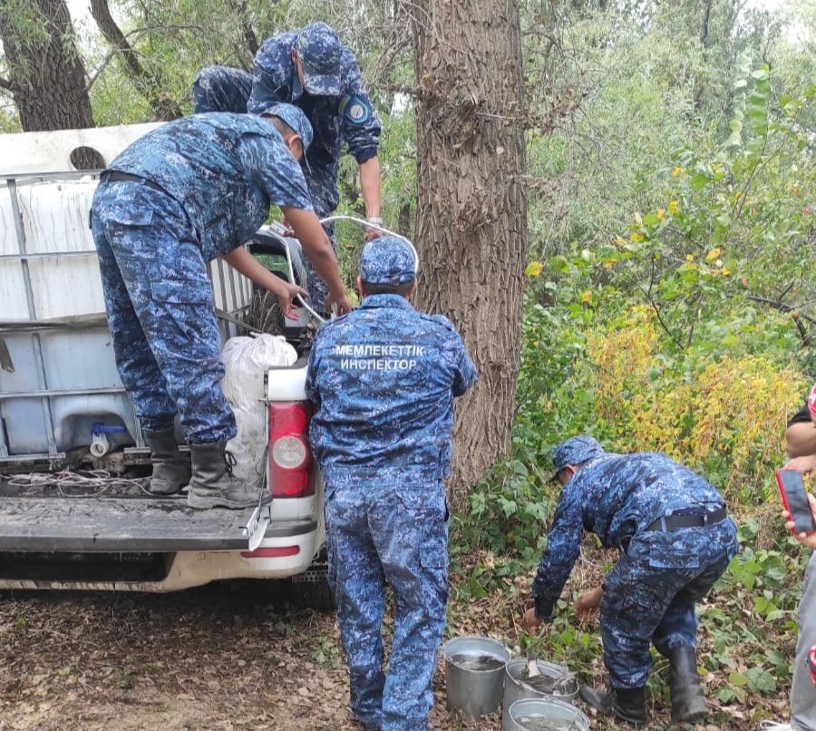 Тысячи мальков спасли из мелеющих водоемов в СКО