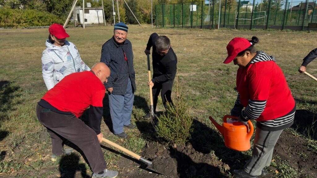 Полторы тысячи деревьев высадили за один день в Тайыншинском районе