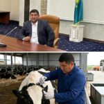 «Тілсіз жануардың тілін табу — үлкен жауапкершілік»: ветеринар Бақытжан Кегенбаевтың еңбек жолы