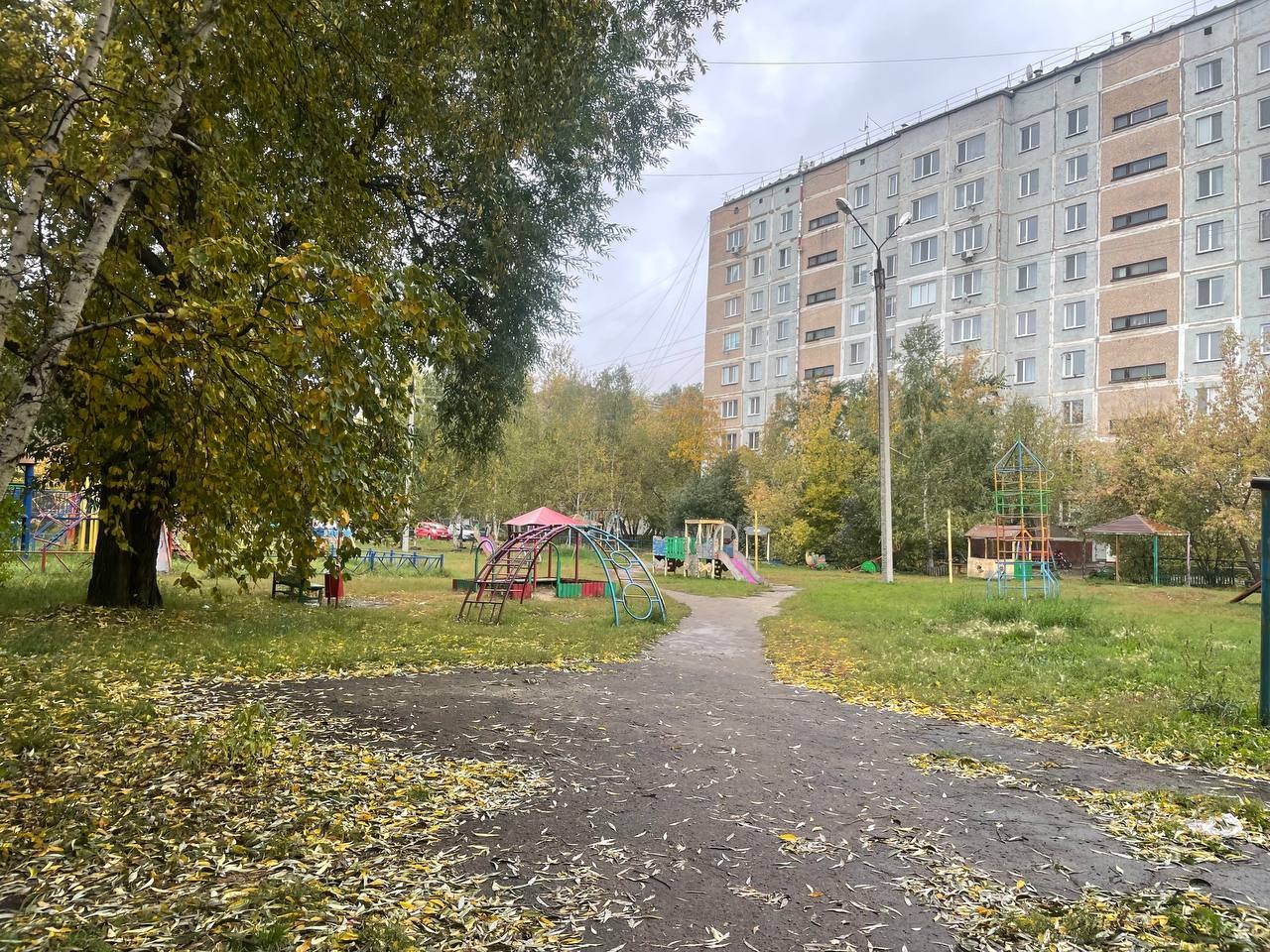 Солтүстікте қараша айы әдеттегіден жылы болады