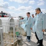 Президент поставил в пример опыт СКО в развитии молочного животноводства