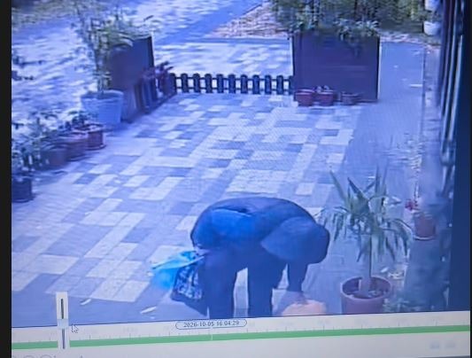 Осенний урожай – неизвестная женщина «срезала» тыкву прямо около кафе в Петропавловске