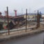 Родился в рубашке - чудом избежал травм водитель большегруза, пробившего ограждение дамбы в Петропавловске
