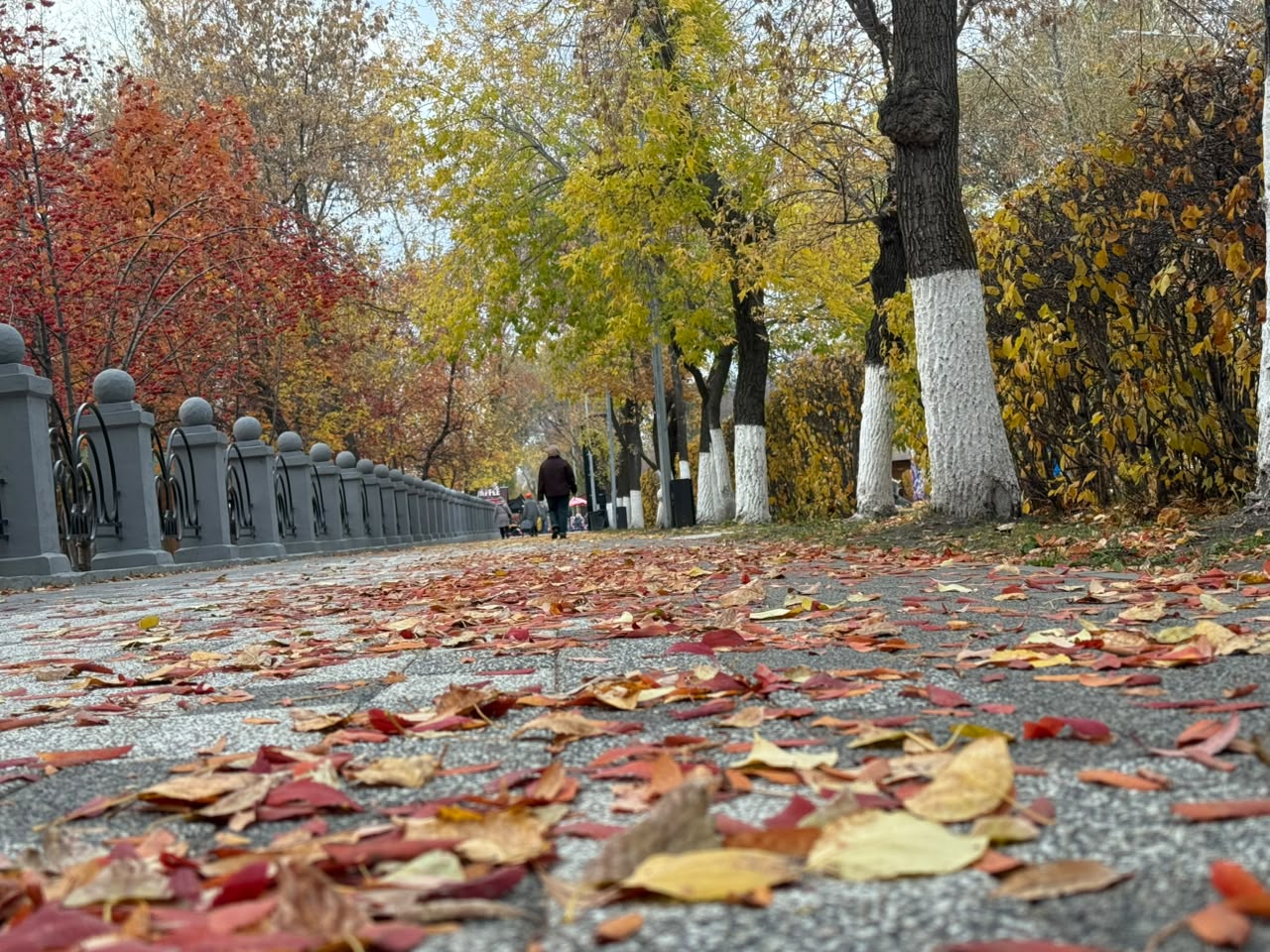 Грязные гонки, рок-фестиваль, хоккей и концерты: куда сходить в Петропавловске на День Республики