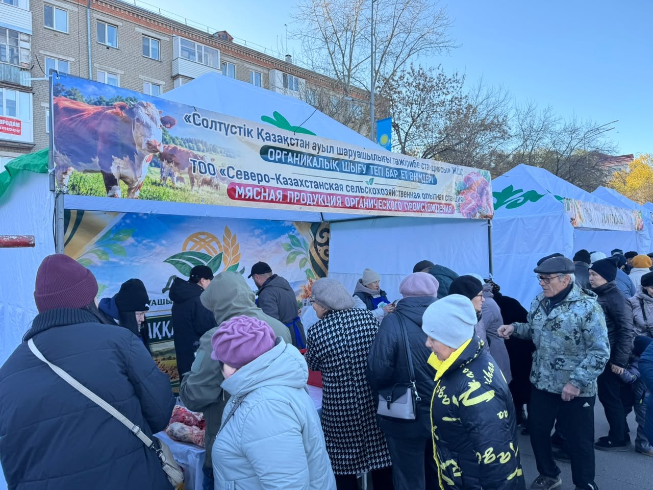 Мука по 220, говядина по 3000 тенге — чем удивила большая ярмарка в Петропавловске